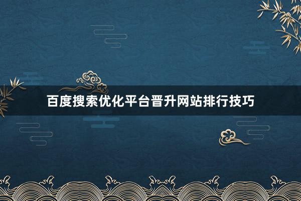 百度搜索优化平台晋升网站排行技巧