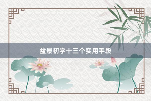 盆景初学十三个实用手段