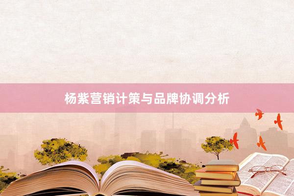 杨紫营销计策与品牌协调分析