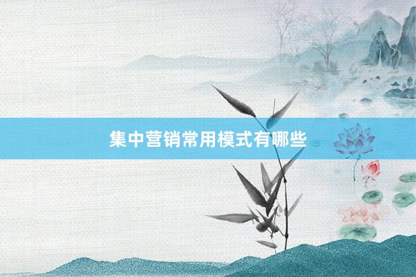 集中营销常用模式有哪些